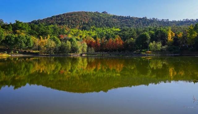 在上班和上进之间，我选择了上游子山