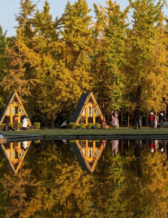 走！坐地铁，赏银杏！