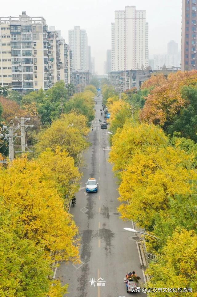 大降温后，青山最美冬景即将上线！