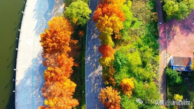 诸城秋浓，如诗如画！