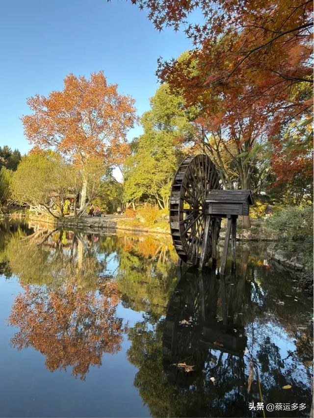 沪上园林古猗园已达颜值巅峰