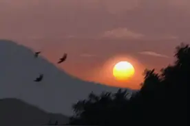 准到吓人的62个观人术；身边是人是鬼，一秒就能看清！图片