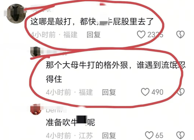 五台山一游客被牛群撞倒围攻，景区回应