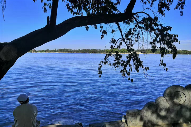 情感爆文:人这辈子，最不甘心的事情，其实就五个字	，你知道？