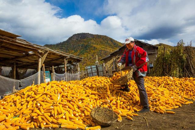 从湖南去了一趟伊春，实话实说，回来才发现朋友圈都是骗人的？