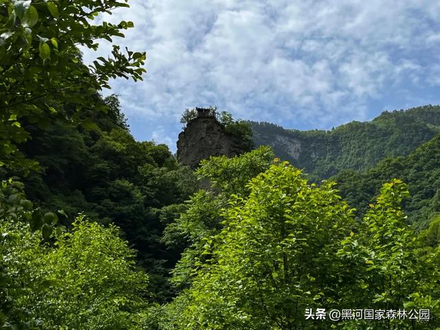 转给那个总说“没时间去远方”的朋友：你看，诗与远方，其实就在2小时车程外