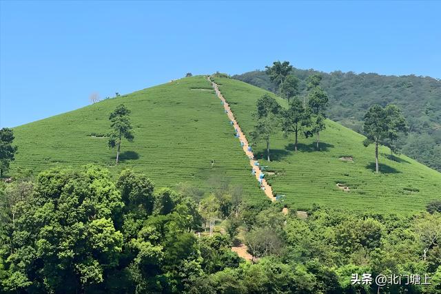 自然与人文交织，这个小山村靠“贡茶文化”走出了特色发展之路