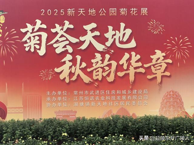 武进新天地公园菊花展 乡村田园风 今年又不同