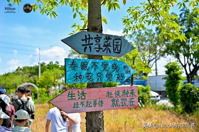 顺德亲子游 | 住进奥特曼主题房，体验趣味之旅