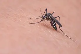 几块钱一瓶的炉甘石洗剂，连世卫组织都推荐，它可以治哪些病？图片