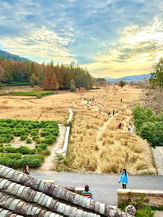 追着晚秋（黟县宏村镇塔川村）