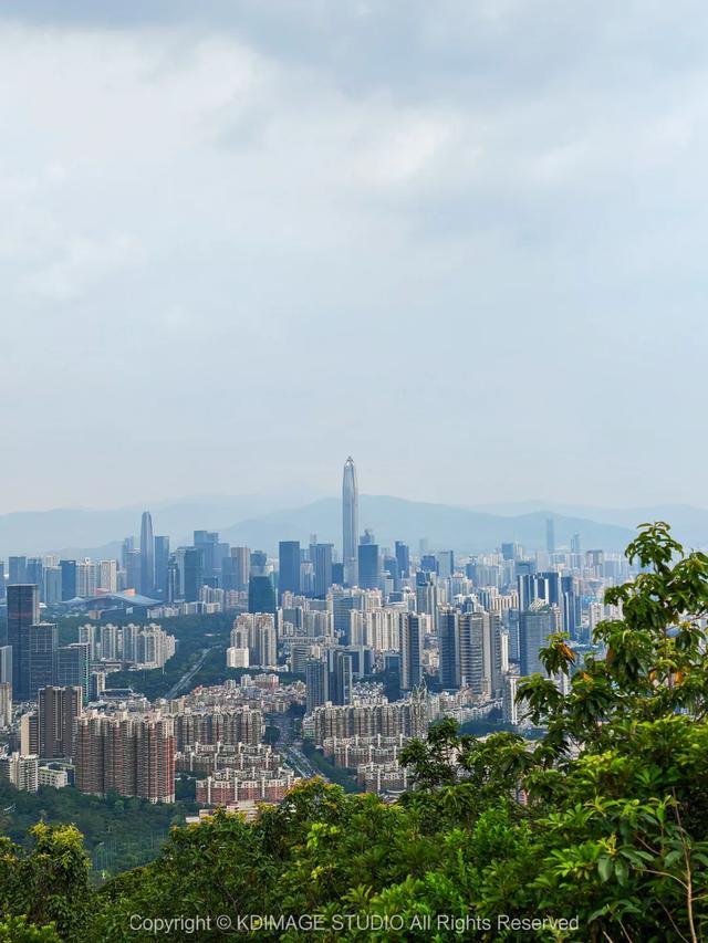 深圳徒步！超适合新手小白的3条郊野径路线，地铁公交直达还免费