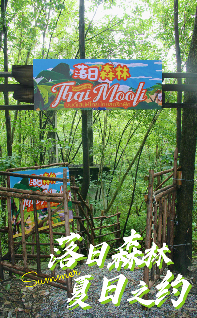 新津，有个“森林会客厅”