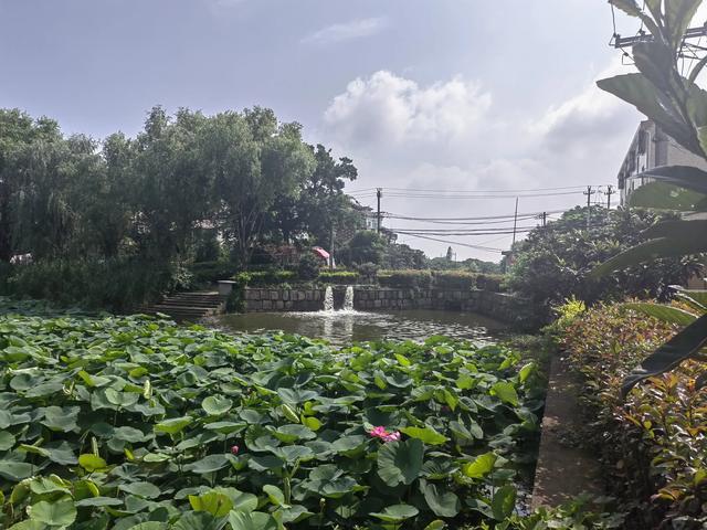 游逛塘栖丁山湖景区
