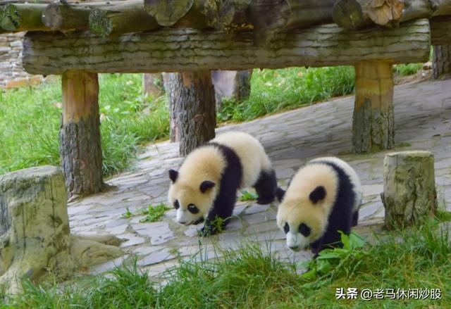 我带着相机,在耿达避暑