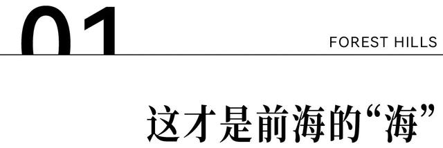 深圳的未来，为什么看前海？