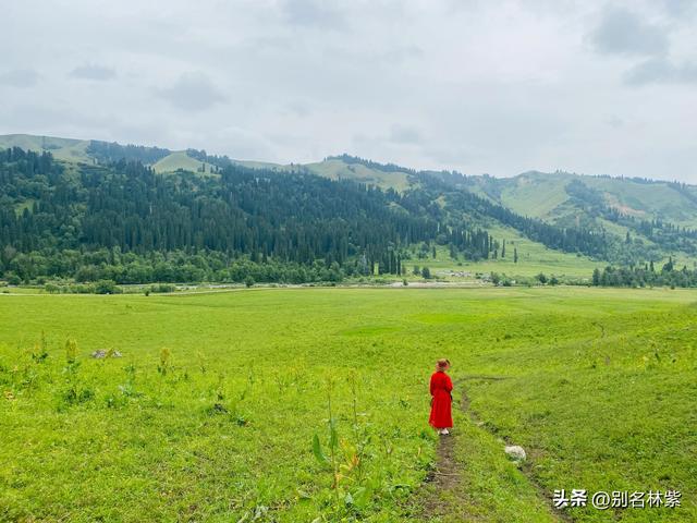 解锁库尔德宁，新疆伊犁的“天然氧吧”，60元门票太值了（6）