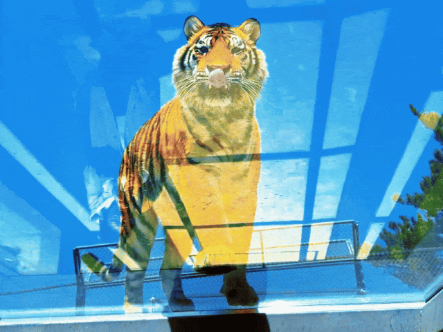 @全体跑友+随行人员：这份荣成“旅游专属福利”请收好！