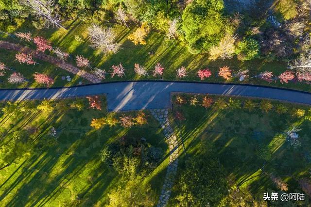 寻找大理海西的最美绿道,色彩缤纷秋意盎然,目测已经开始落叶啦