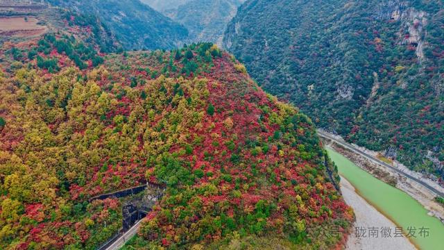 嘉陵江畔，静观一季秋色流转