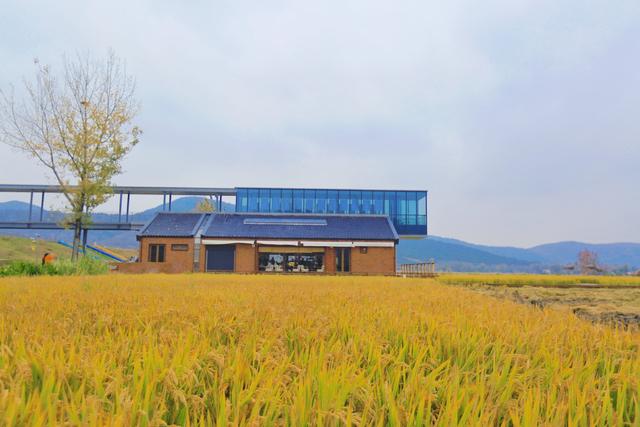 宿州有一座稻田图书馆，远离闹市，环境优美，成为了一处文化地标