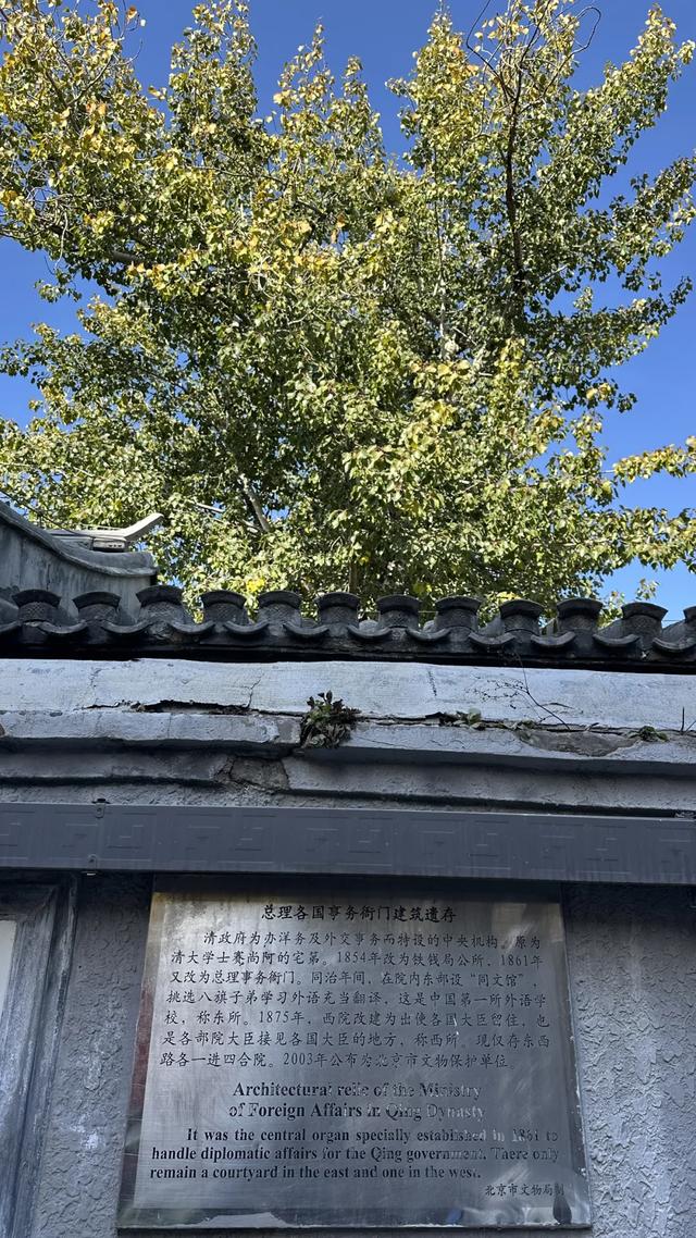 更年期小阿姨的胡同漫游