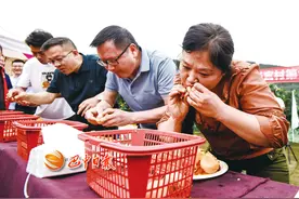 枇杷节暨农民趣味运动会来了~ 好吃又好玩 甜蜜乐此不“枇”图片