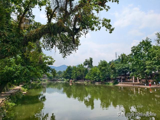 成都古镇（16）邛崃夹关古镇