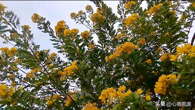 我这么爱你，你也爱我吗