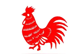 金鸡独立！不同生日尾数的生肖鸡，人生轨迹有何不同？幸福美满！图片