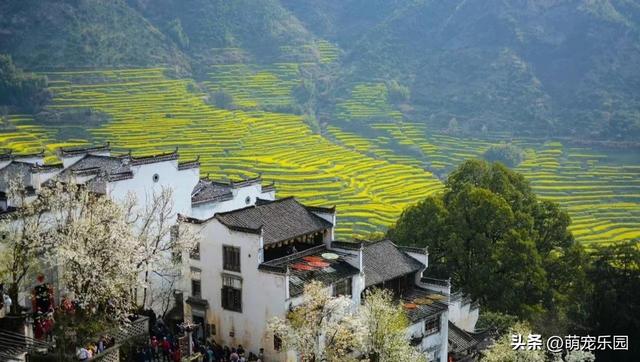 荆楚大地晨光初现，鸟鸣花香中烦事随风去，湖北清晨美得让人心醉