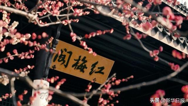 读诗词游水韵江苏丨“乐园之都”常州 千年古韵与现代活力交融