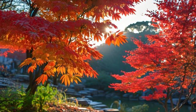 秋日红叶全攻略：认准这几棵树，带你解锁最美中国红！