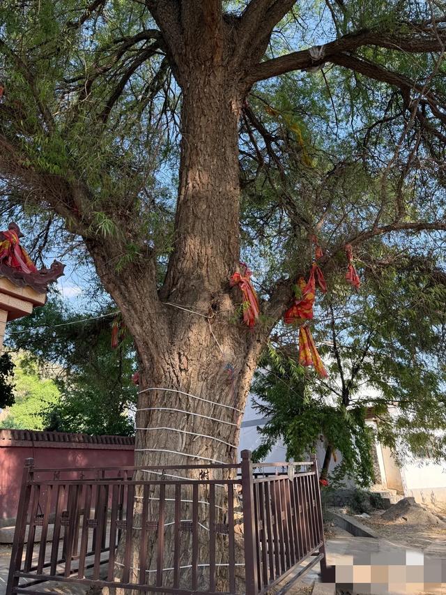成都家庭主妇一枚，去道县逛了两天，关于扎肉月岩有4点想法要讲