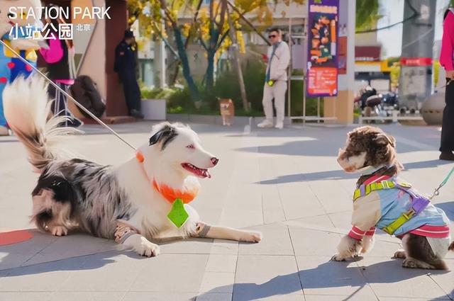 能待一整天，昌平4个适合遛娃的室内宝藏打卡地！