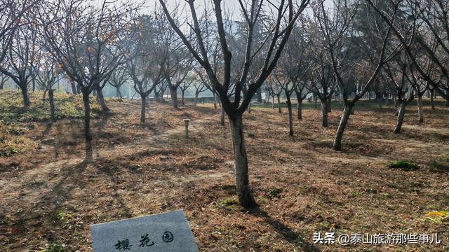 泰安：城南有一个公园，集自然景观、休闲娱乐和生态保护于一体