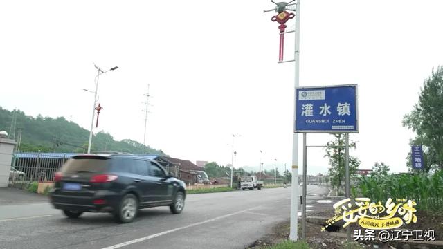 一键收藏！这里山湖染金，江鱼肥美，藏着东北最惊艳的赏秋盛宴！