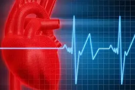 什么是窦性心律？医生提醒：注意这6个习惯，确保心脏健康！图片