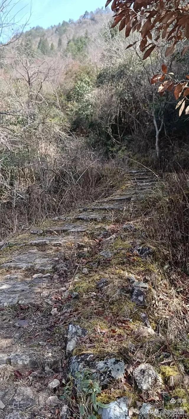探秘楠溪江源头!这条海拔千米以上的草甸山脊只有极少数驴友知道