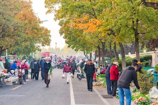 打卡限时浪漫，一键收藏隐珠街道最美秋色！