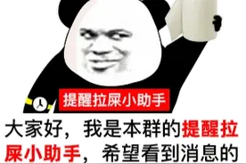 有意思的熊猫表情包图片
