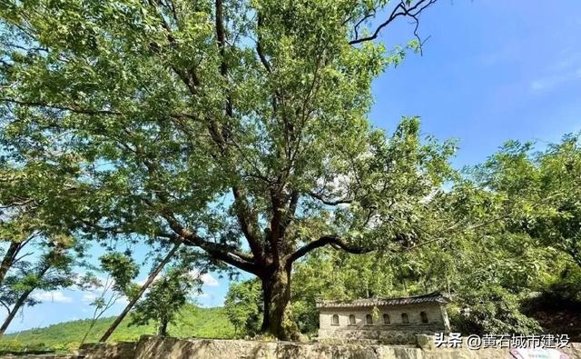 快来黄石这一处宁静之地!藏在山水间的世外桃源