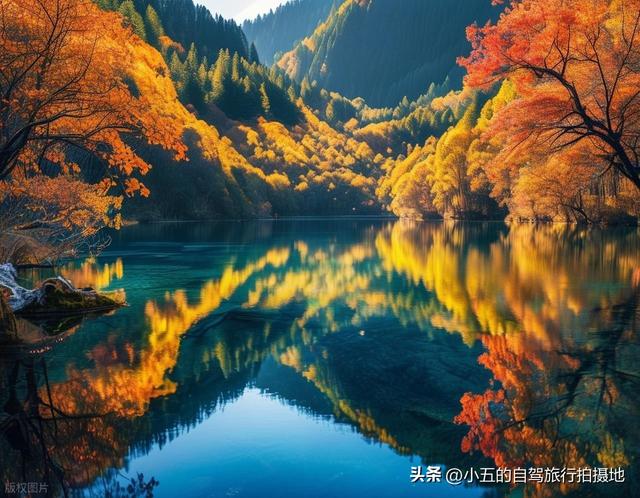 9 地秋日赏秋实测攻略！附最佳时间 + 落地玩法，收藏直接走