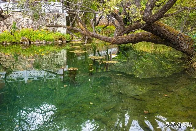 丽江的最美秋色九鼎龙潭，但位置隐秘，大部分游客都视而不见