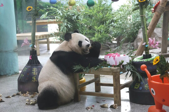 山东有自己的“疯狂动物城”！