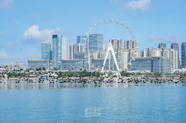 活力宝安城区指南｜山海蓝绿瞬间：山水连城，绿动宝安！