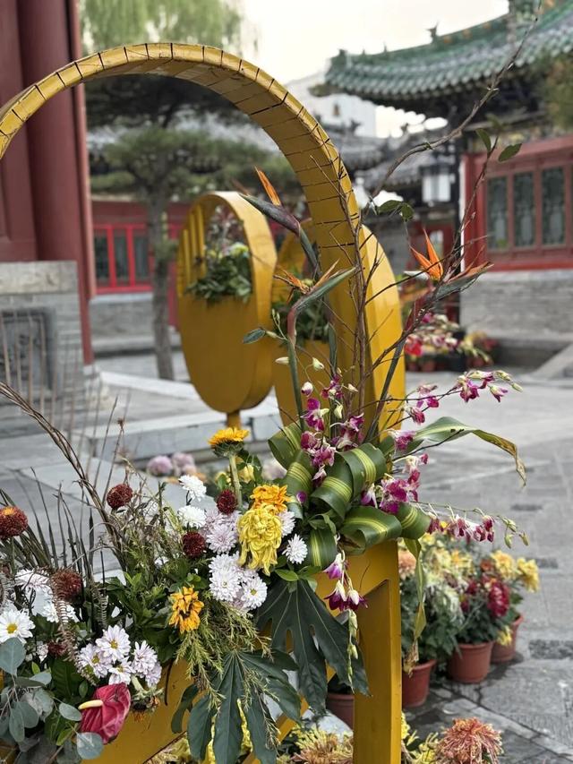 府城漫步丨晋韵菊香满迎泽