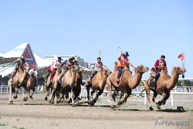 面积堪比海南却仅1万人！甘肃这座"废墟秘境"，美到让人不敢呼吸