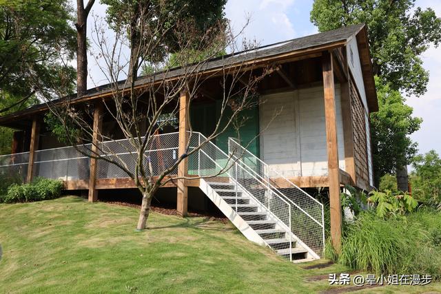 愿称这里为成都最美的城市公园，没有之一，像一座童话森林！