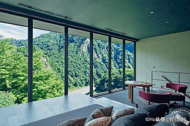 秋天已渐渐带来凉意，让有些树叶渐渐有了「红颜」